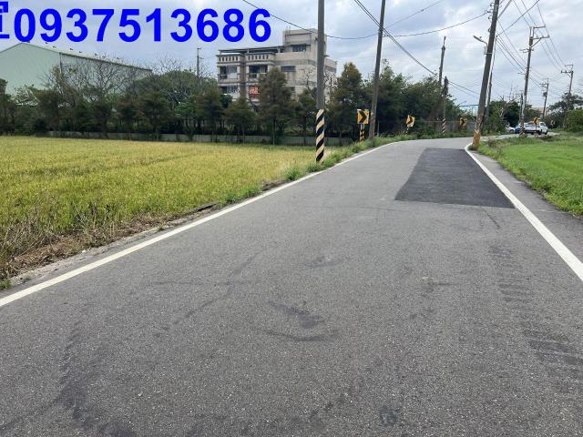 大園農地-4