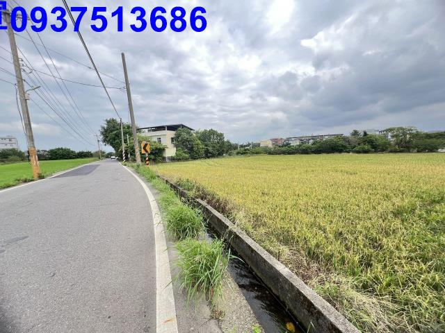 大園農地-5
