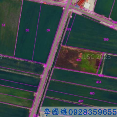 芳苑法拍農地-2