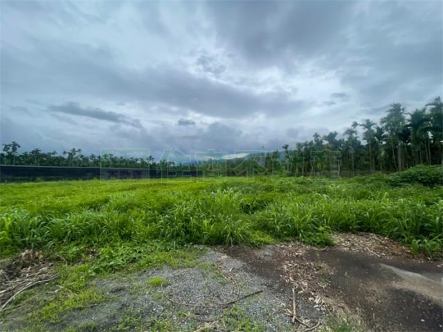 屏東內埔農地-4