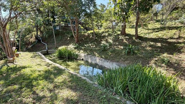 新竹關西農地-13