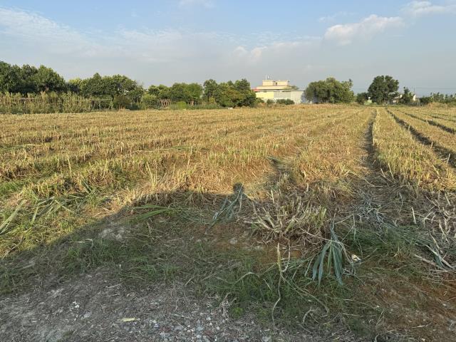 屏東萬丹農地-3