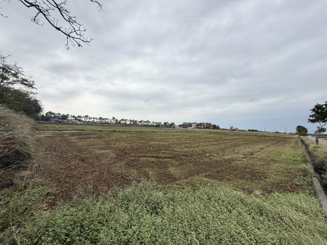 桃園新屋農地-2