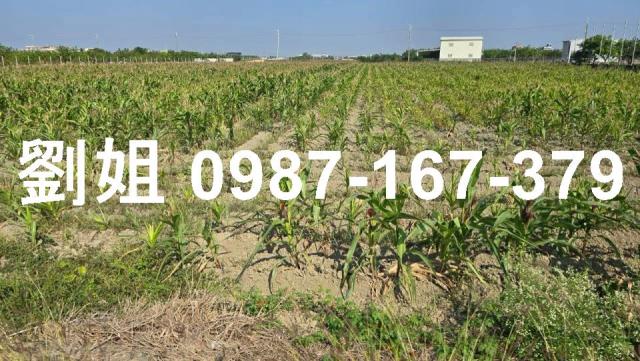 麻豆近小埤頭社區都內方正農地