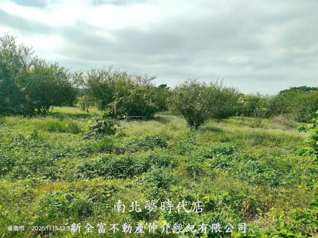 走馬瀨雙面路漂亮農地