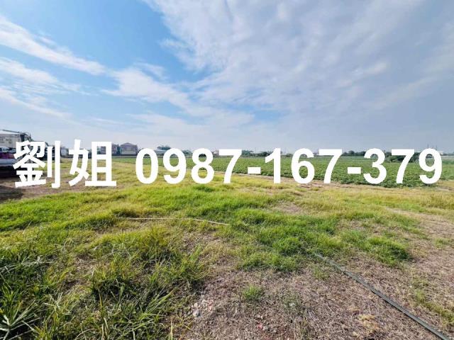 新市農地建地大坪數出售