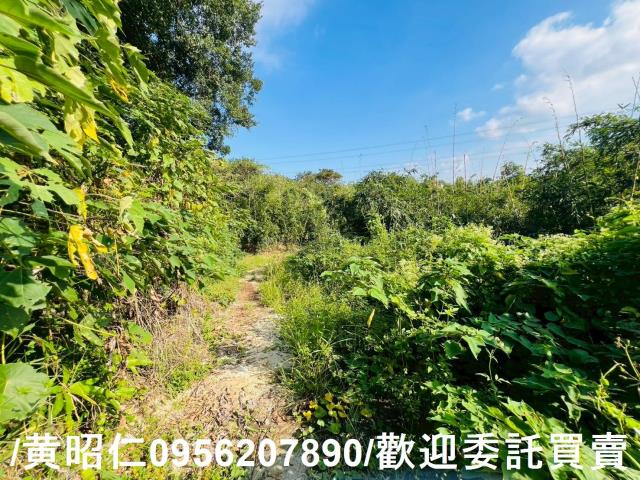 台南農地-8