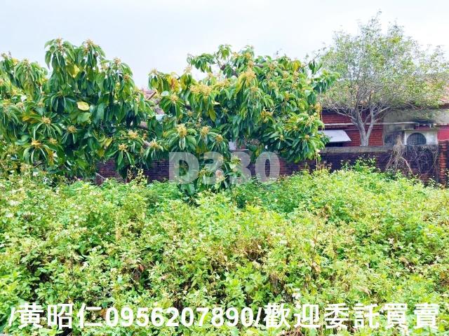 台南佳里建地-5