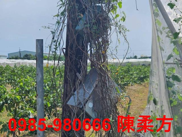 高雄燕巢農地-3