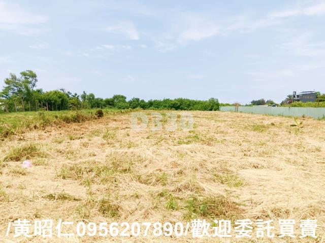 台南安南農地-3