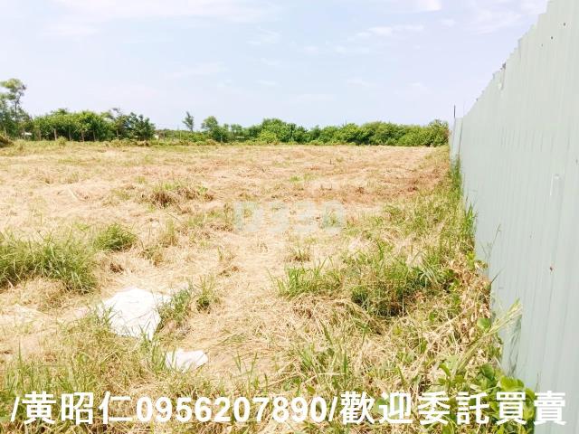 台南安南農地-5