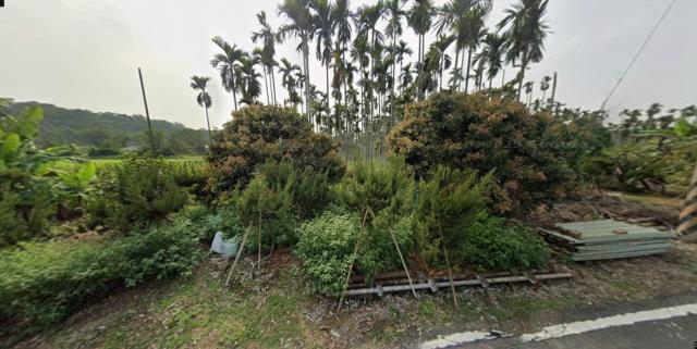 水上法拍水上農地水上土地