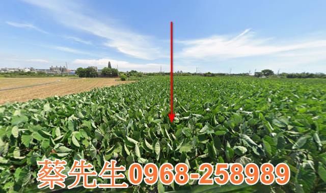 大甲賢仁路農保地可做農保可蓋資材室