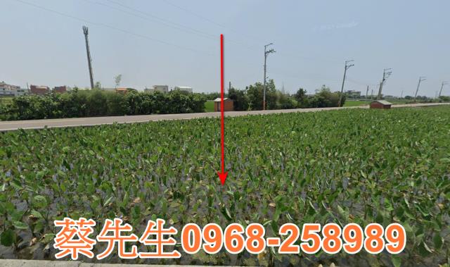 大安區東西二路農保地可做農保可蓋資材室