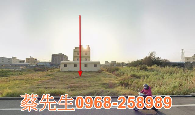 伸港中山路農地種植經濟農作物果樹