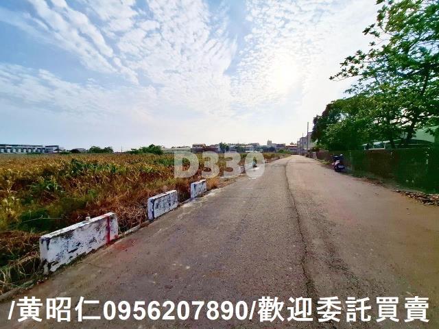 台南七股農地-9