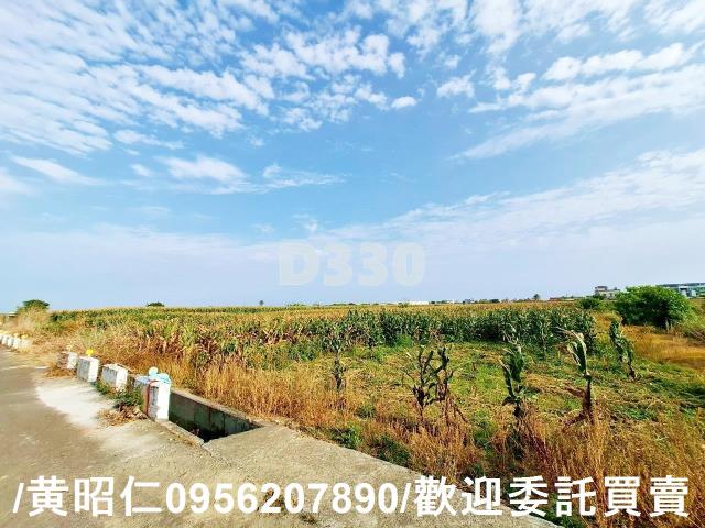 台南七股農地-5