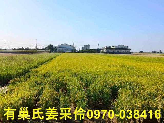 嘉義溪口農地-3