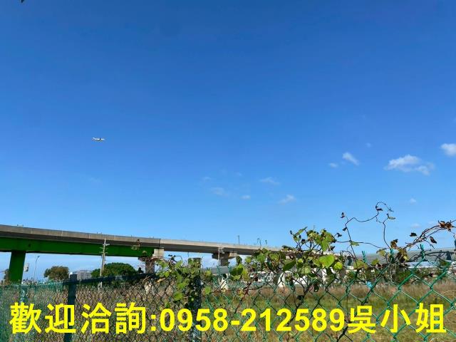 桃園大園商業地-5