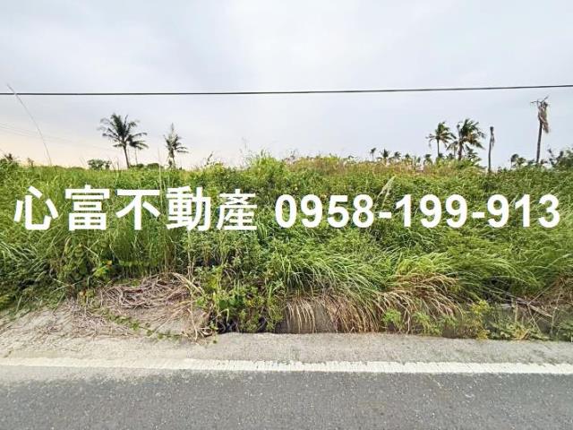 高雄阿蓮農地-0