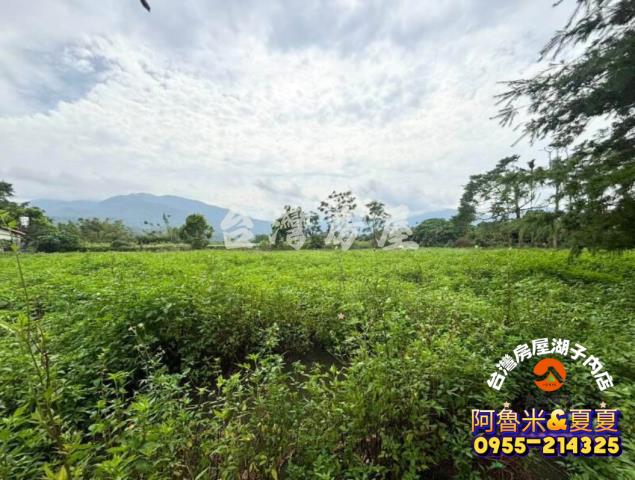 嘉義阿魯米建地農地買賣台灣房屋嘉義湖子內店富鑫團隊呂昆佩