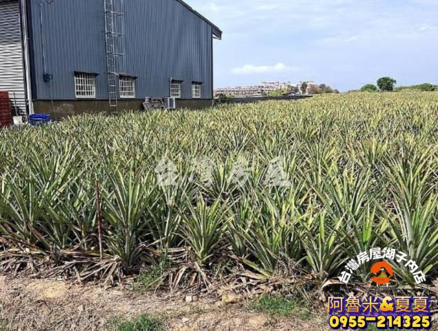 嘉義阿魯米建地農地買賣台灣房屋嘉義湖子內店富鑫團隊呂昆佩