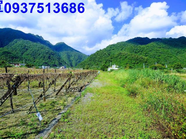 宜蘭縣員山鄉隘界三段農地出售