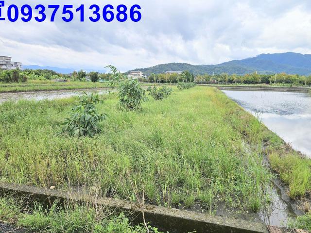 宜蘭縣員山鄉東德段農地出售