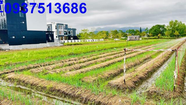 宜蘭縣三星鄉田心段農地出售