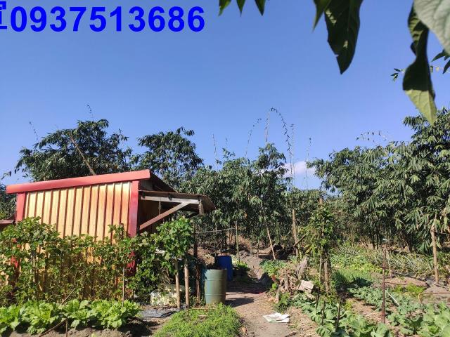 宜蘭縣宜蘭市泰山段農地出售