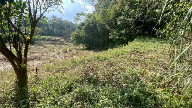 新竹交通用地-12