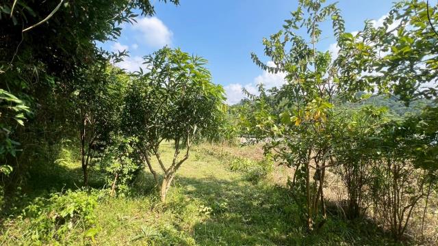 新竹交通用地-5