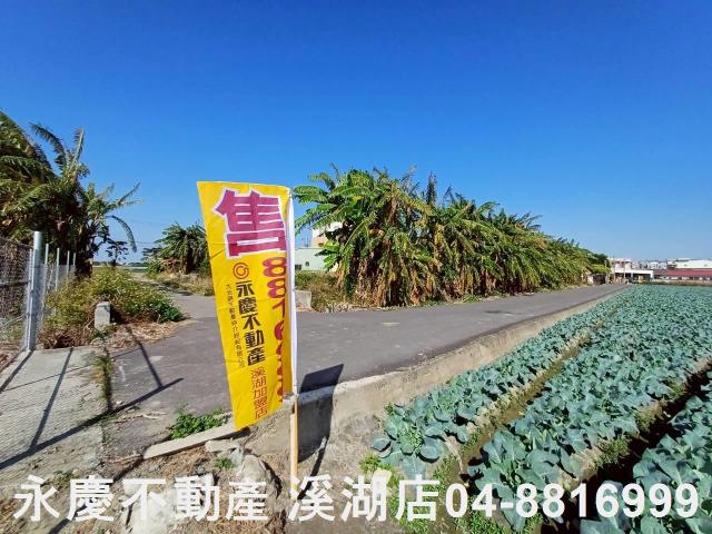 彰化埔鹽農地-1