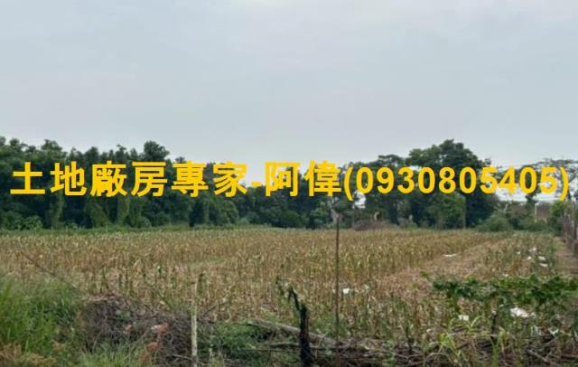 高雄農地-0