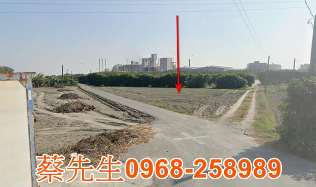 芳苑五圳農地種植經濟農作物果樹