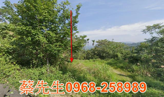 中寮頂城巷農舍地興建農舍種植農作物