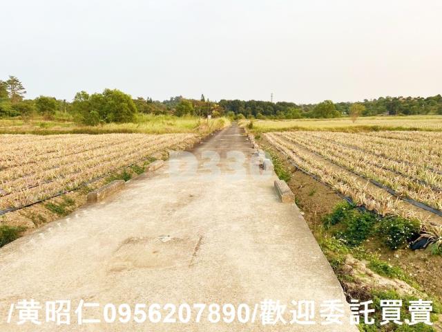 關廟農地-9