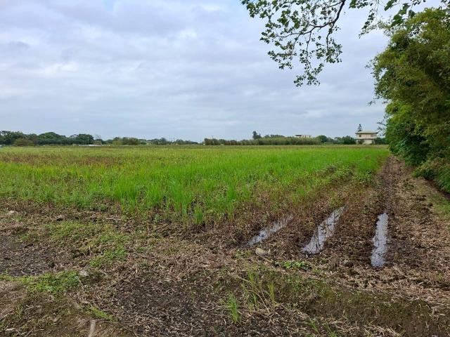 新屋農地-2
