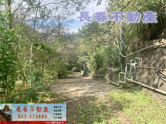 8F353獅潭永興休閒林地