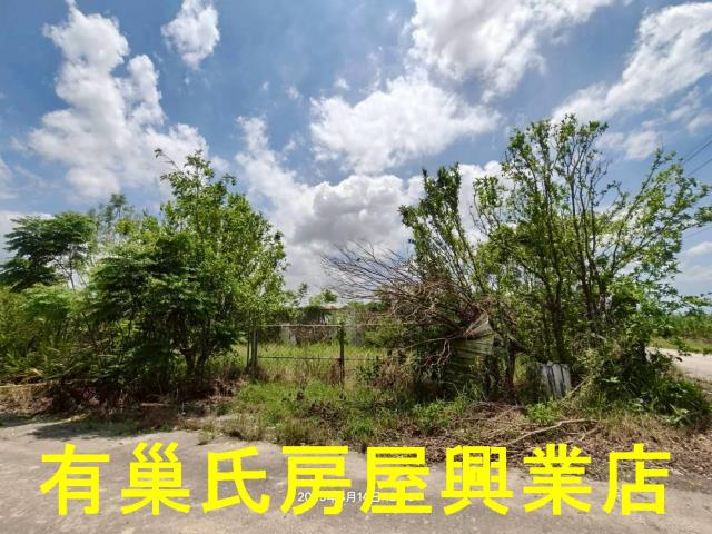 嘉義鹿草農地-4