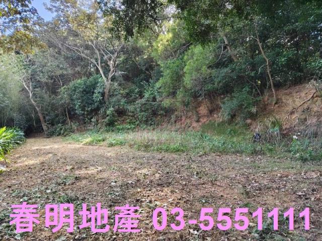 新竹縣關西鎮過雲山莊休閒農地春明地產