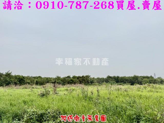 台南仁德農地-9