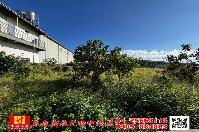 台中神岡農地-6