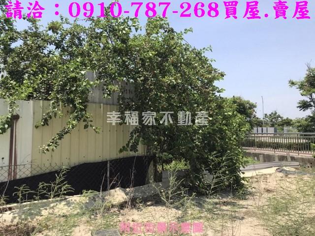 台南安南農地-10