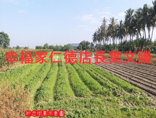 台南安定農地-8