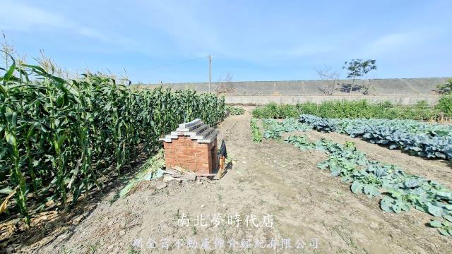 台南鹽水建地-3