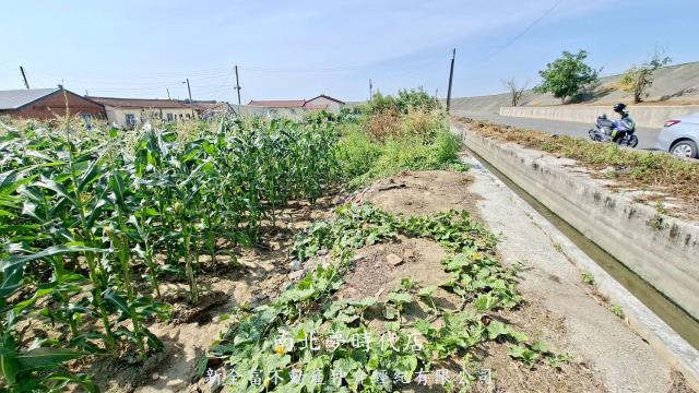 台南鹽水建地-4