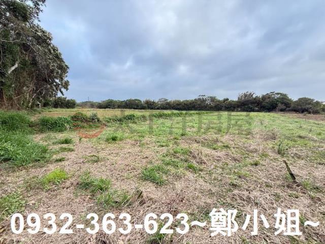 新屋農地-4