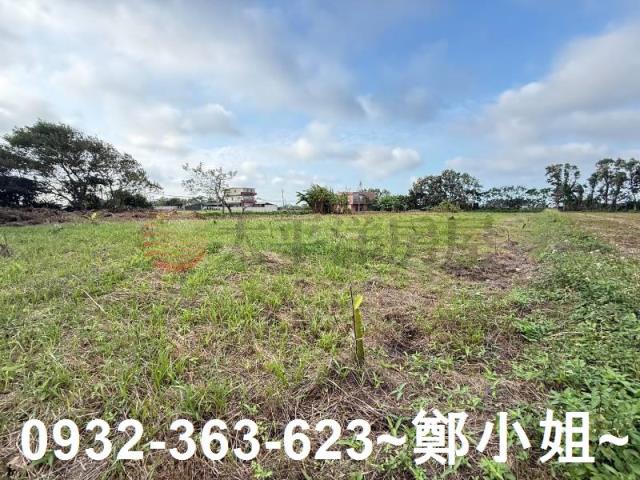 新屋農地-6