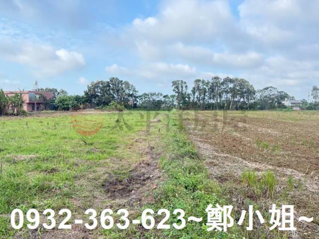 新屋農地-7